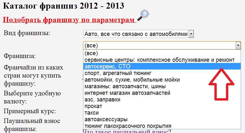 Хочу купить франшизу. Поиск подвидов деятельности в самом полном для Рунета актуальном для России общем каталоге франшиз 2012 - 2013 журнала Франчайзи.jpg